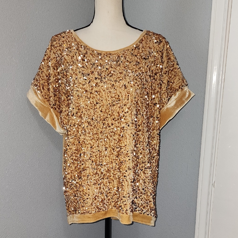 Umgee Gold Sequin Velvet Short Sleeve Top